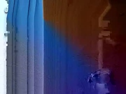 Most Recent Photo of moos1