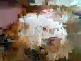 Most Recent Photo of morenoveracruxano