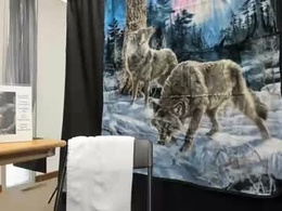 Most Recent Photo of mromg007