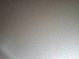 Most Recent Photo of myhoneybadger