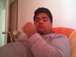Most Recent Photo of negritoo_2503