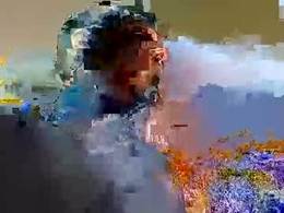 Most Recent Photo of nllatino