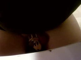 Most Recent Photo of norshrimp