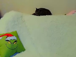 Most Recent Photo of not_nakedcat