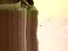 Most Recent Photo of overicome