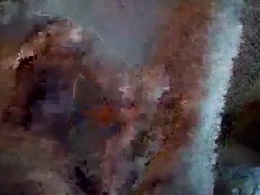 Most Recent Photo of parejitafiel2309