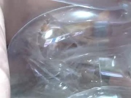 Most Recent Photo of pastagagaa