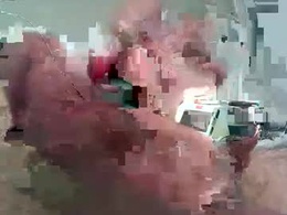 Most Recent Photo of paulgrenoble