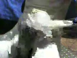 Most Recent Photo of pedroh3