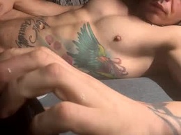 Most Recent Photo of playfulcompanion