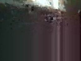 Most Recent Photo of porkchop696974