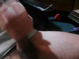 Most Recent Photo of porongasaurio