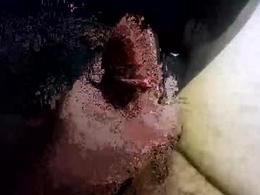 Most Recent Photo of rmako35