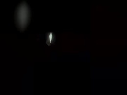 Most Recent Photo of rob398367