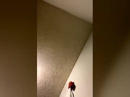 Most Recent Photo of robsfishin123