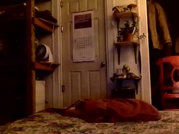 Most Recent Photo of rp131313