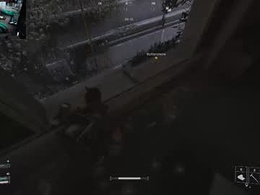 Most Recent Photo of rubberglovebird