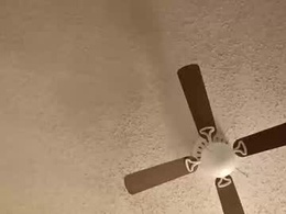 Most Recent Photo of rwcat3006