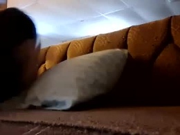 Most Recent Photo of s49309