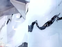 Most Recent Photo of salem_rosee