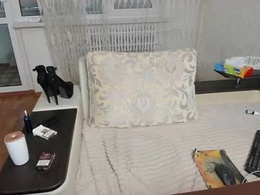 Most Recent Photo of sambuca153