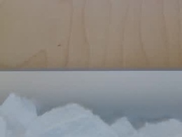 Most Recent Photo of scorpionvolant