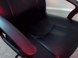 Most Recent Photo of senorgrower