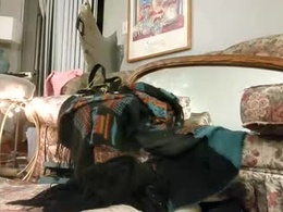 Most Recent Photo of sheasly12