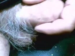 Most Recent Photo of shootertog