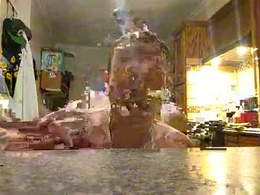 Most Recent Photo of sillygoose0031