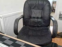 Most Recent Photo of snootyagain