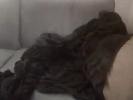 Most Recent Photo of snowboard503