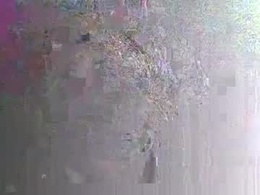 Most Recent Photo of sss591508