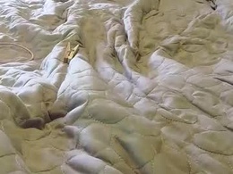 Most Recent Photo of subby_shaman