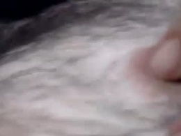 Most Recent Photo of thiccbearsmall