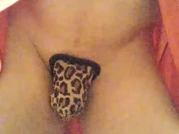 Most Recent Photo of thongsandstockings