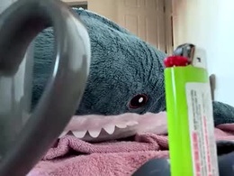 Most Recent Photo of thorstydevil