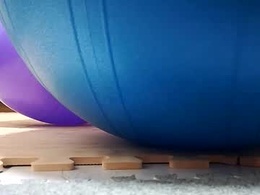 Most Recent Photo of thpktylmldwa