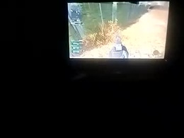 Most Recent Photo of tjllagwbggrr