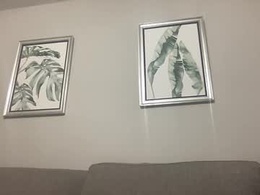 Most Recent Photo of tonycardillo