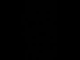 Most Recent Photo of toryveinz