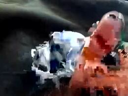 Most Recent Photo of toybuff