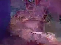 Most Recent Photo of tpaul694104