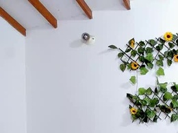 Most Recent Photo of tracy_wright