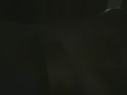 Most Recent Photo of trafagra