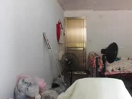 Most Recent Photo of transelfenungehindert