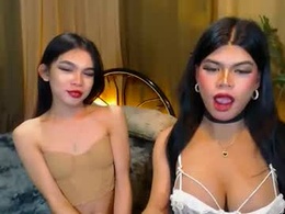 Most Recent Photo of twinktransshanel