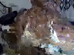 Most Recent Photo of tytycum14550