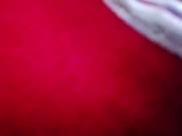 Most Recent Photo of u3981738112