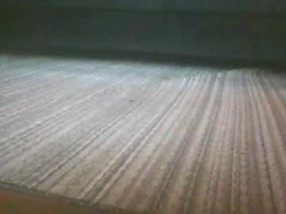 Most Recent Photo of up4grabbys